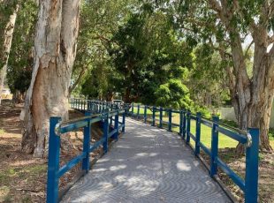Shared Pathway – Yakapari Seaforth Road, Seaforth